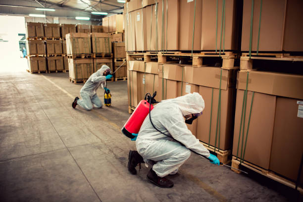 Best Wildlife Control Services  in Warrior, AL