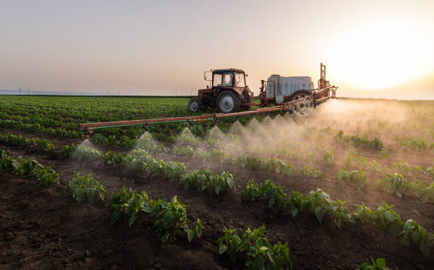 Best Ant Control Services  in Warrior, AL