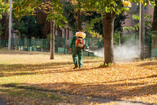 Best Best Pest Control Companies  in Warrior, AL